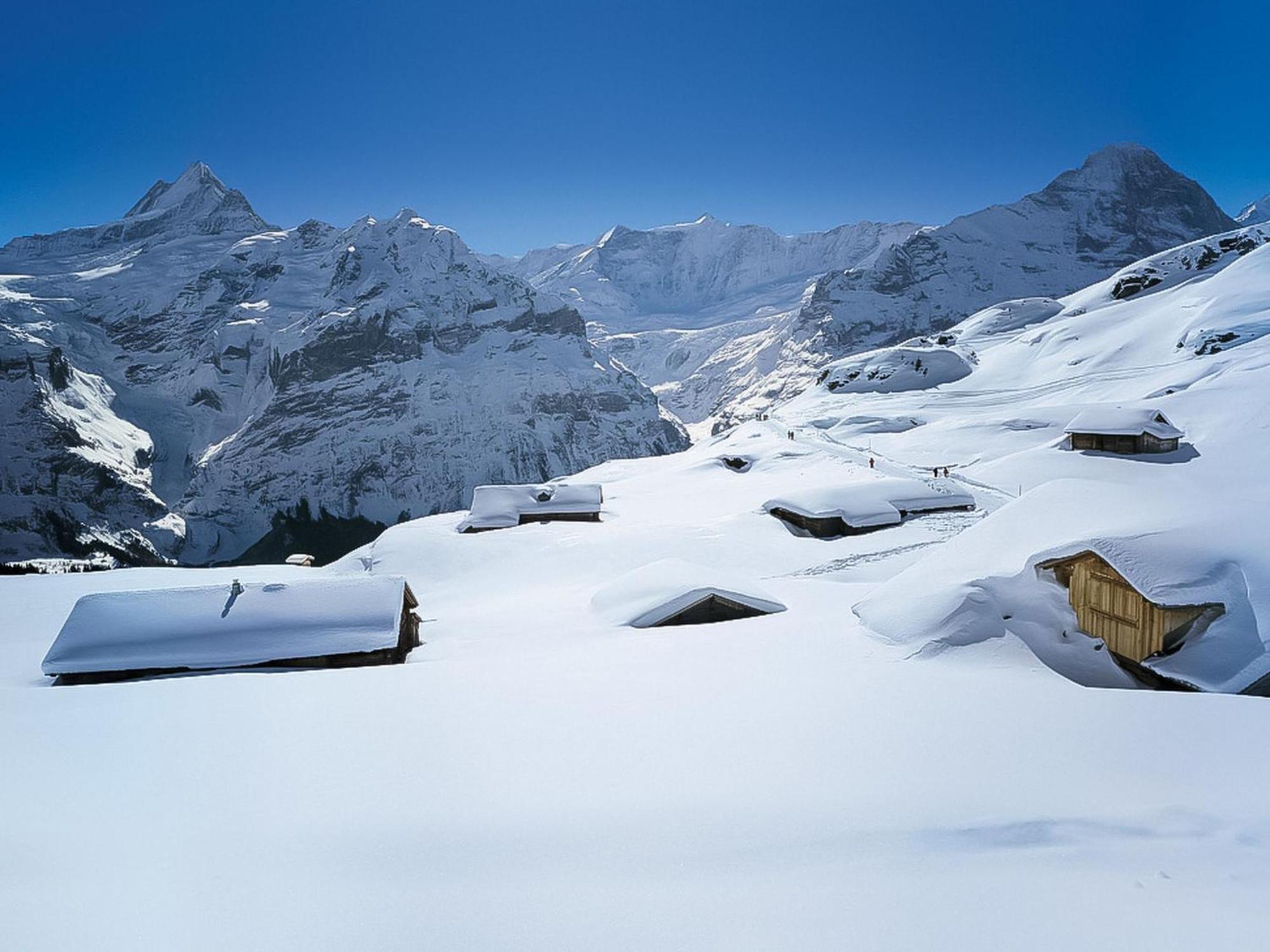 Apartment Chalet Almis-Boedeli-2 By Interhome Grindelwald Luaran gambar