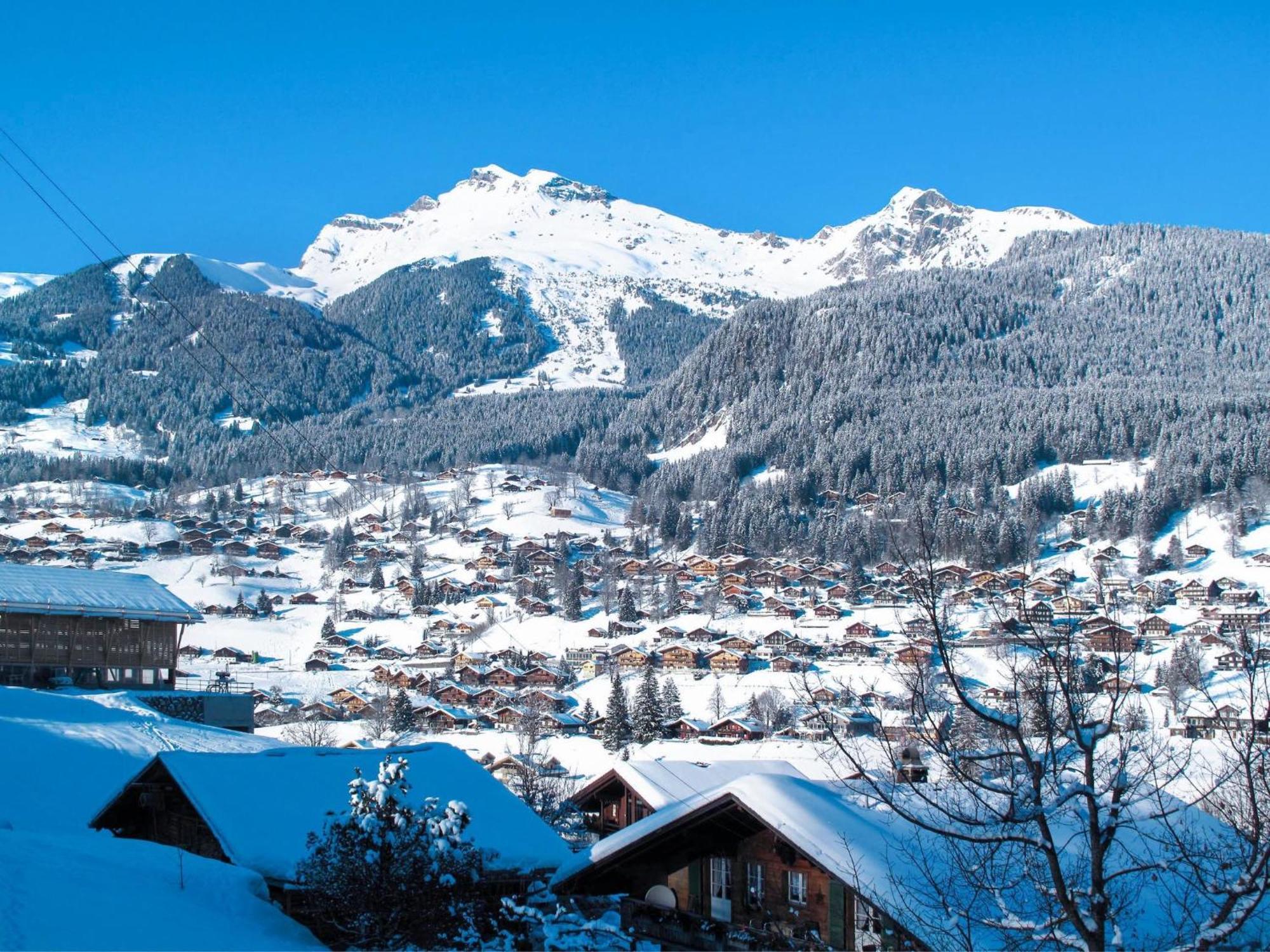 Apartment Chalet Almis-Boedeli-2 By Interhome Grindelwald Luaran gambar